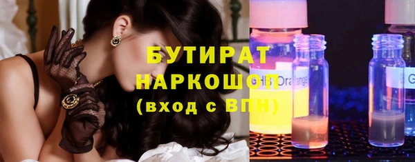 индика Абаза