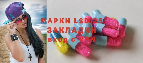 индика Абаза