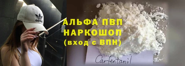 тгк Новокубанск