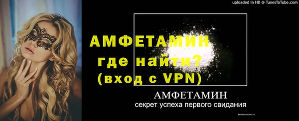индика Абаза