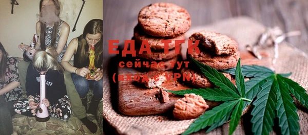 индика Абаза