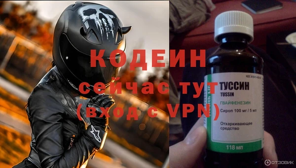 индика Абаза