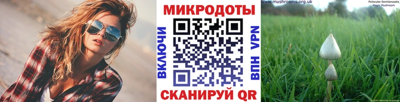 наркошоп  Хилок  Псилоцибиновые грибы Magic Shrooms 